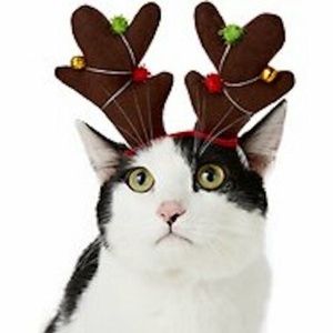 Simply Pet Holiday Reindeer Bell Antlers Christmas Ferret Cat Rabbit T Cup Dog
